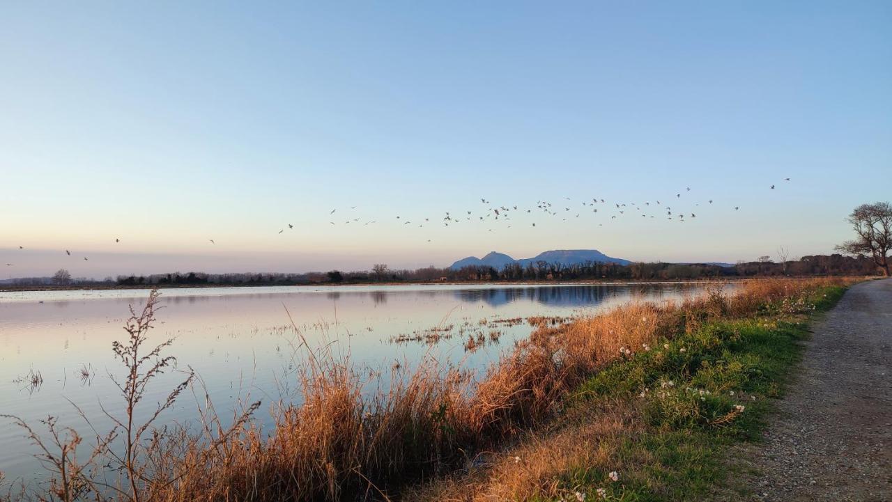 Can Costals Naturaleza 帕尔斯 外观 照片